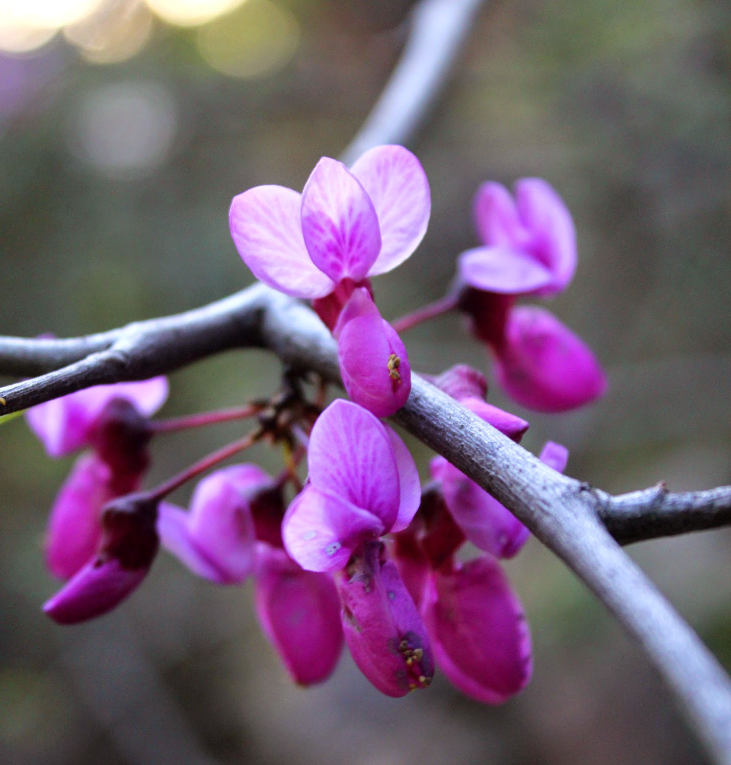 IMG_3711.JPG width=640